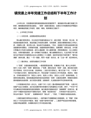 镇党委上半年党建工作总结和下半年工作计划