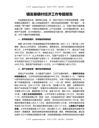 镇发展镇村经济工作专题报告