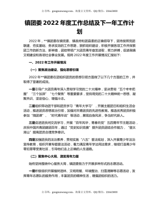 镇团委2022年度工作总结及下一年工作计划