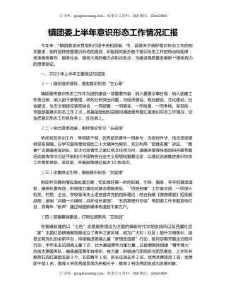镇团委上半年意识形态工作情况汇报