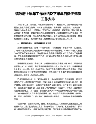 镇政府上半年工作总结及下半年目标任务和工作安排