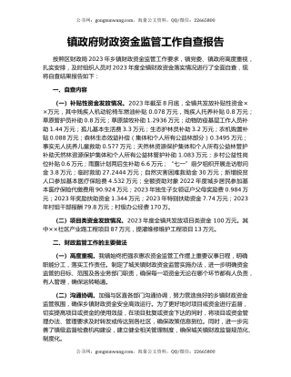 镇政府财政资金监管工作自查报告