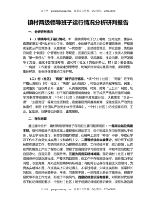 镇村两级领导班子运行情况分析研判报告