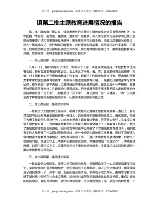 镇第二批主题教育进展情况的报告