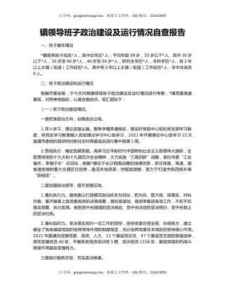 镇领导班子政治建设及运行情况自查报告