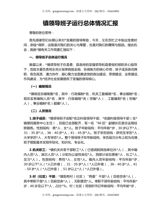 镇领导班子运行总体情况汇报
