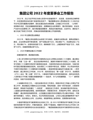 集团公司2022年度董事会工作报告