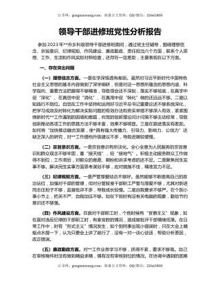 领导干部进修班党性分析报告