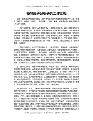 领导班子分析研判工作汇报