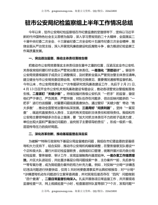 驻市公安局纪检监察组上半年工作情况总结