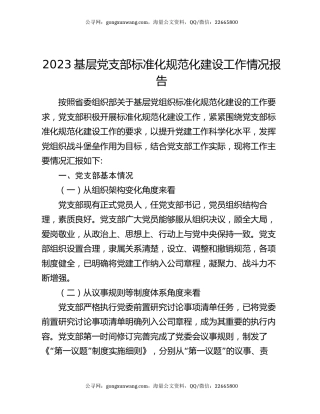2023基层党支部标准化规范化建设工作情况报告