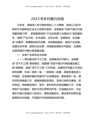 2023年乡村振兴总结