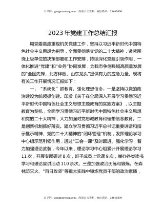 2023年党建工作总结汇报