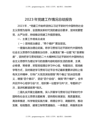 2023年党建工作情况总结报告