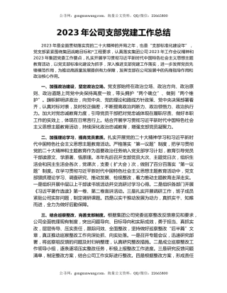 2023年公司支部党建工作总结