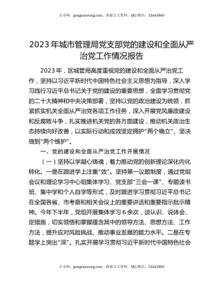 2023年城市管理局党支部党的建设和全面从严治党工作情况报告