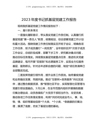 2023年度书记抓基层党建工作报告