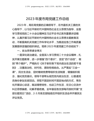 2023年度市局党建工作总结