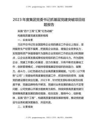 2023年度集团党委书记抓基层党建突破项目结题报告