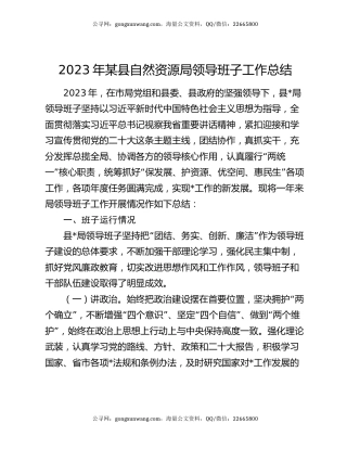 2023年某县自然资源局领导班子工作总结