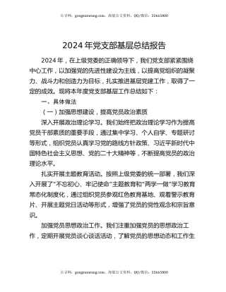 2024 年党支部基层总结报告