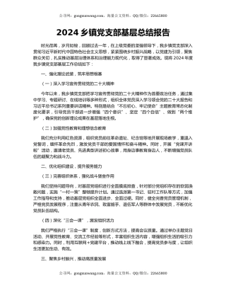 2024乡镇党支部基层总结报告