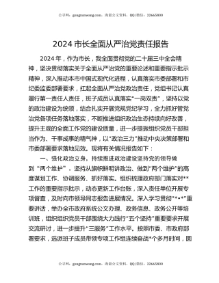 2024市长全面从严治党责任报告