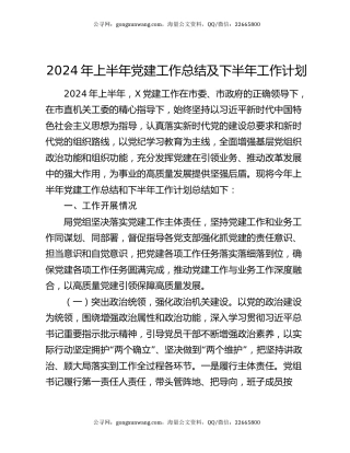 2024年上半年党建工作总结及下半年工作计划