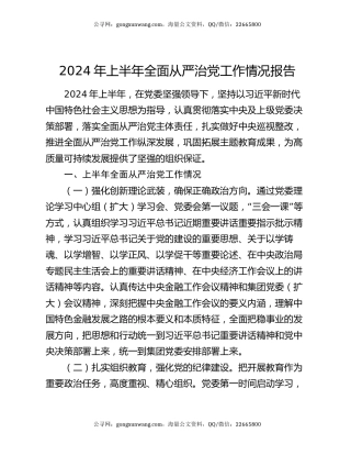 2024年上半年全面从严治党工作情况报告