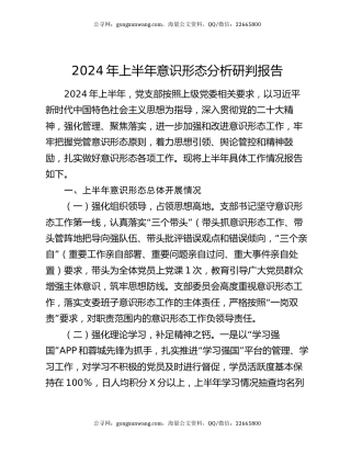 2024年上半年意识形态分析研判报告