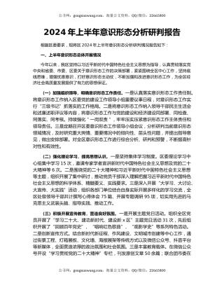 2024年上半年意识形态分析研判报告（2）