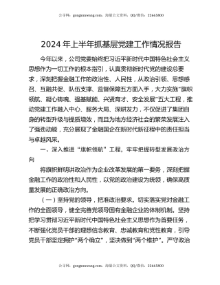 2024年上半年抓基层党建工作情况报告