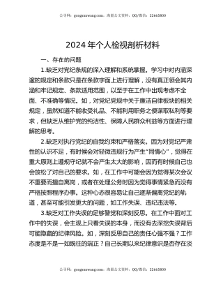 2024年个人检视剖析材料