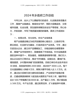 2024年乡政府工作总结