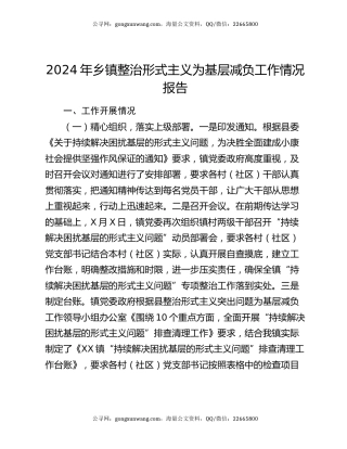 2024年乡镇整治形式主义为基层减负工作情况报告