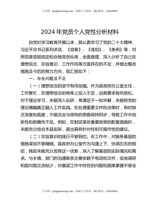 2024年党员个人党性分析材料
