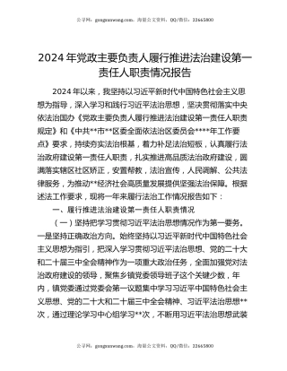 2024年党政主要负责人履行推进法治建设第一责任人职责情况报告