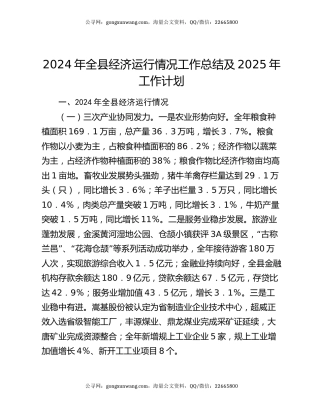 2024年全县经济运行情况工作总结及2025年工作计划