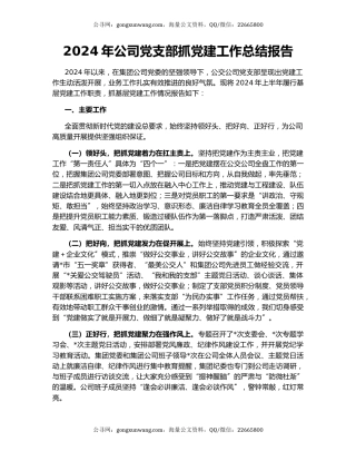 2024年公司党支部抓党建工作总结报告