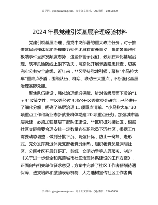 2024年县党建引领基层治理经验材料
