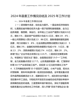 2024年县委工作情况总结及2025年工作计划
