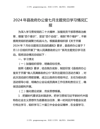 2024年县政府办公室七月主题党日学习情况汇报