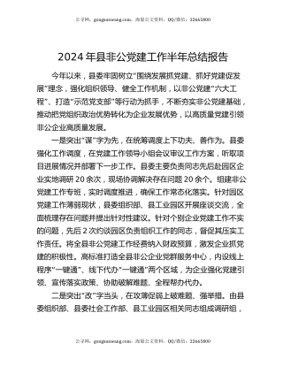 2024年县非公党建工作半年总结报告