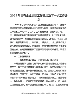 2024年国有企业党建工作总结及下一步工作计划（2）