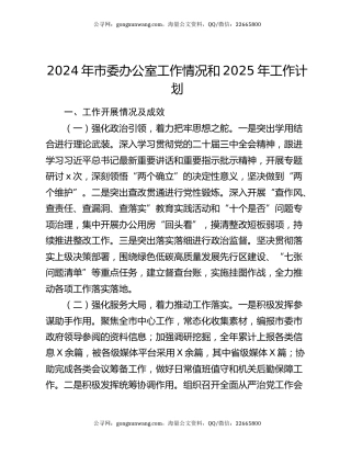 2024年市委办公室工作情况和2025年工作计划