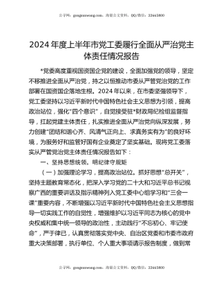 2024年度上半年市党工委履行全面从严治党主体责任情况报告