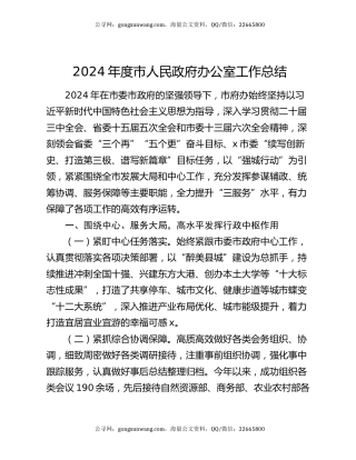 2024年度市人民政府办公室工作总结