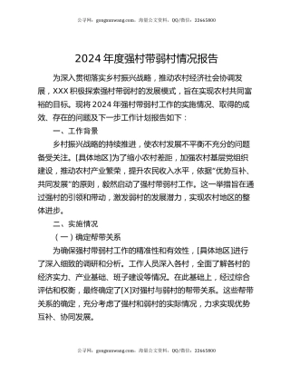 2024年度强村带弱村情况报告