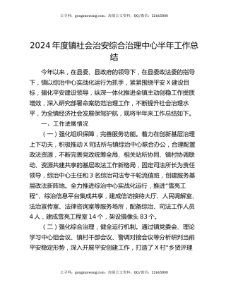 2024年度镇社会治安综合治理中心半年工作总结