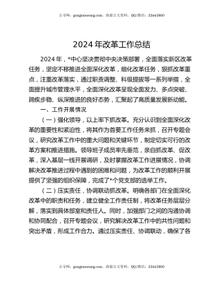 2024年改革工作总结